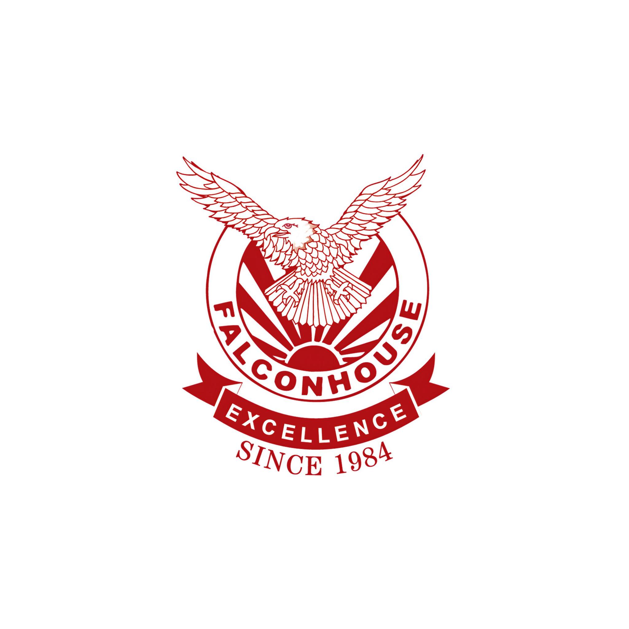 535390425_1207578508073525_3184693876693768198_n